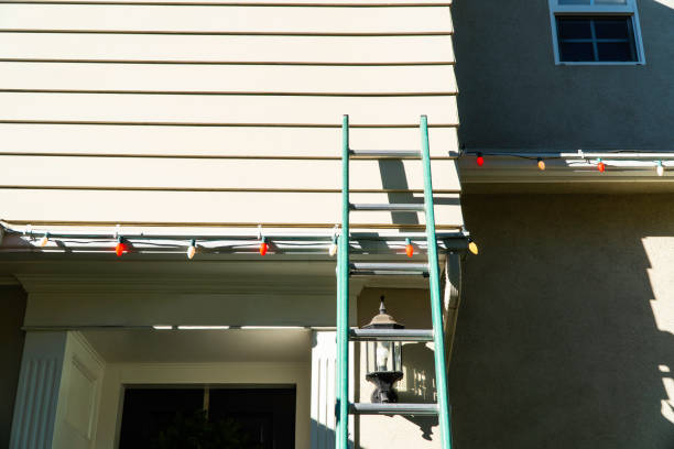 Best Custom Siding Design  in Harbor Springs, MI