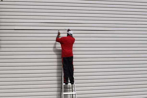 Best Siding Painting and Refinishing  in Harbor Springs, MI
