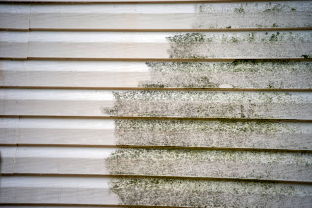 Best Siding Removal and Disposal  in Harbor Springs, MI