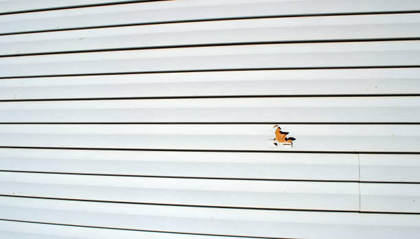 Best Fascia and Soffit Installation  in Harbor Springs, MI